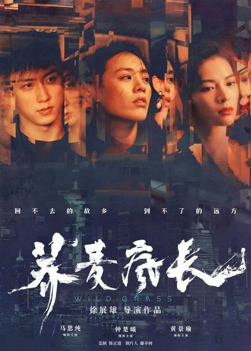 高中学历可以考的资格证书